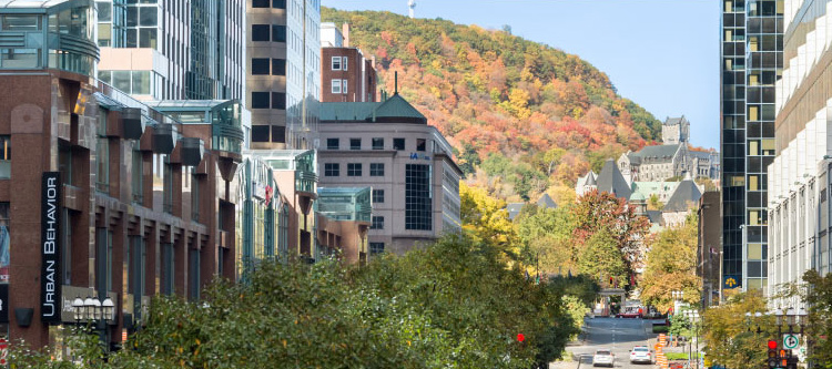 Budget de la Ville de Montréal