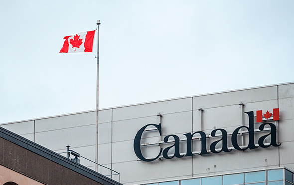 programme d’accélérateur commercial de Montréal