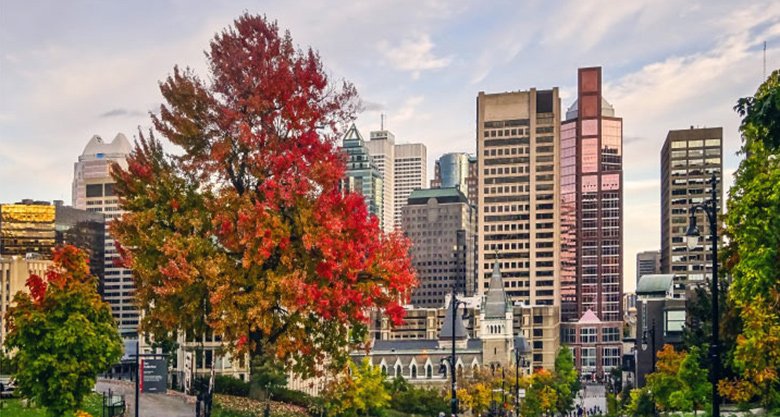 Texte d’opinion cosigné par Michel Leblanc de la Chambre et André Boisclair de l'Institut de développement urbain du Québec